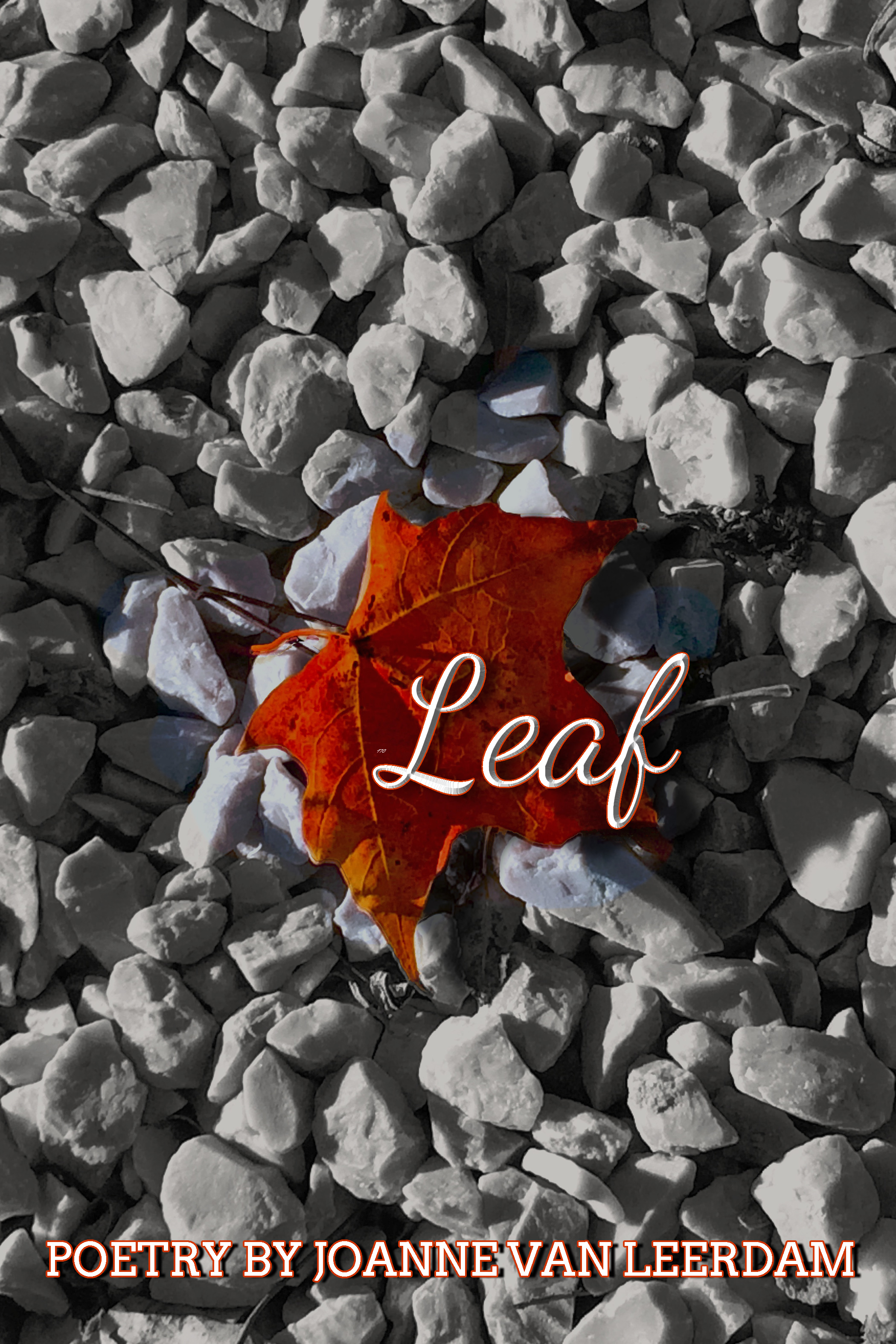 Leaf 2nd Ed eBook Cover 6x9 350ppi