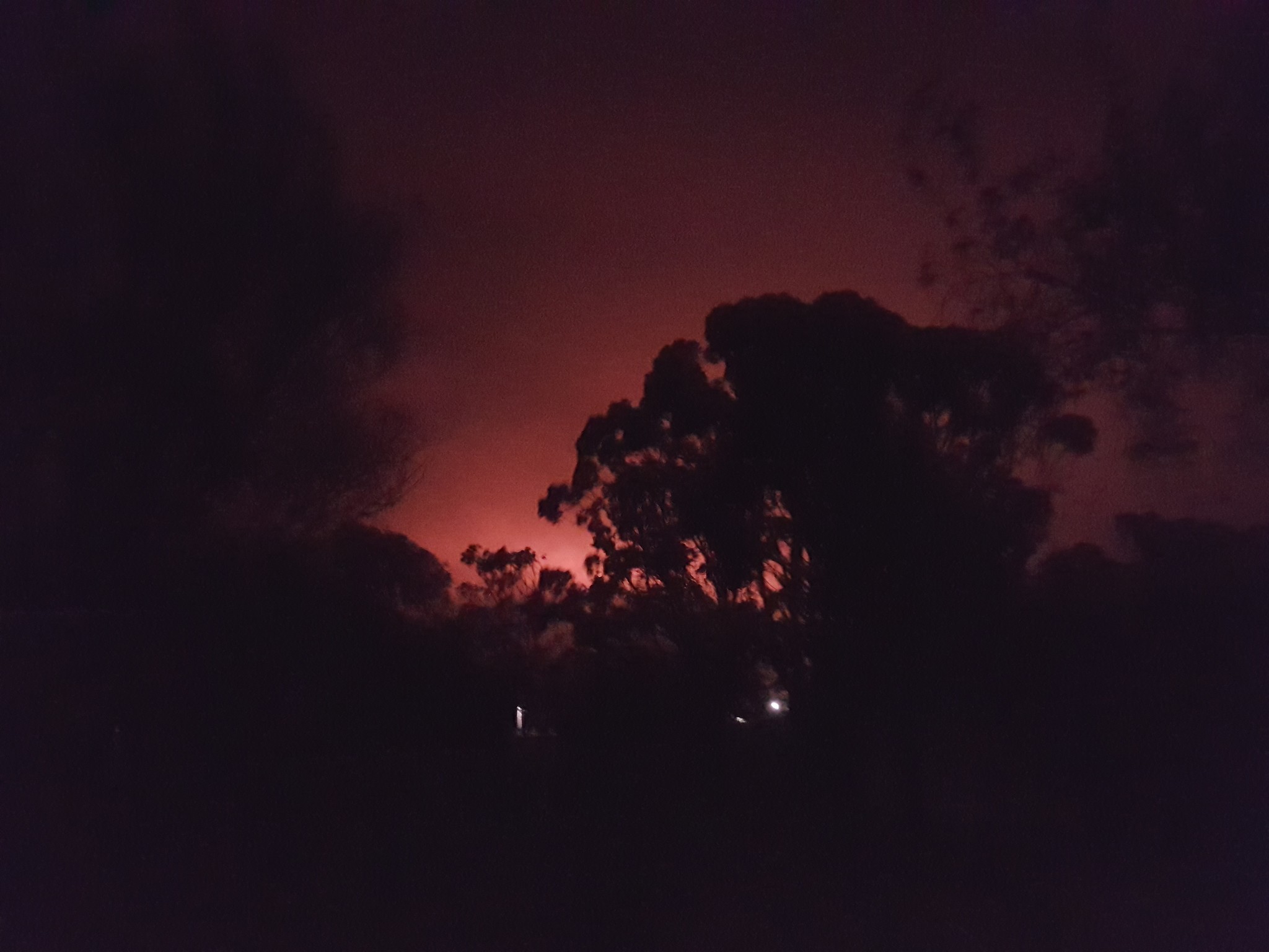 Wendy Bernhardt Photo 0 2018-03-18