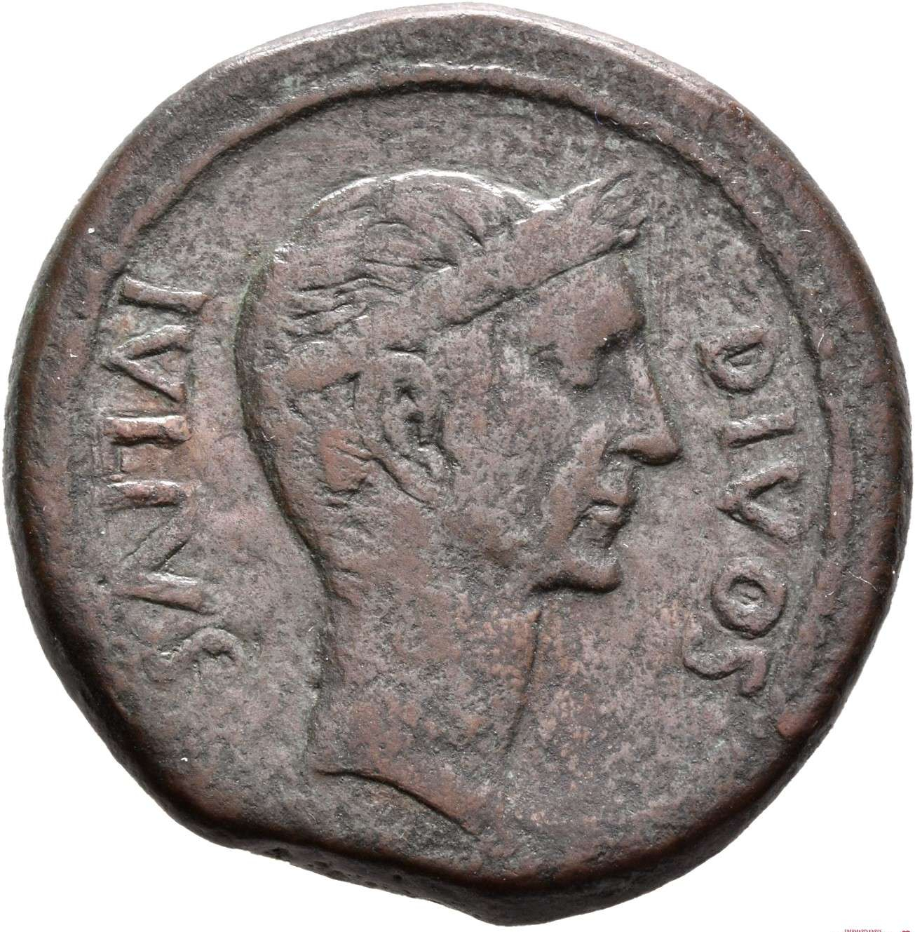 A Roman coin depicting Julius Caesar with the inscription ivlivs divos meaning 'Julius Deus' or Julius the god.